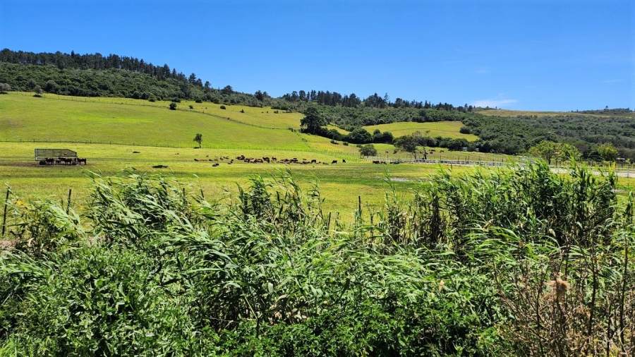 0 Bedroom Property for Sale in Agricultural Holding 318 Western Cape
